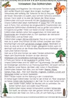 Vorschau - Arbeitsblätter - Eichhörnchen - Seite 2