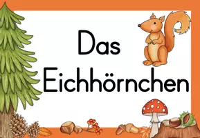 Vorschau - Poster - Themenplakat Eichhörnchen - Seite 3