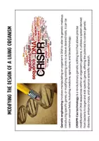 Vorschau - Arbeitsblätter - “Gattaca” - Genetic Perfection and Genetic Discrimination - Seite 2