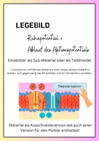 Vorschau - Mal- und Bastelvorlagen - Ablauf des Aktionpotentials + Ruhepotential Biologie Legebild Stopp Motion - Deckblatt