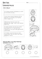 Vorschau - Arbeitsblätter - Igel - Arbeitsblatt zum Lebenszyklus - Seite 2
