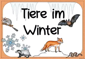 Vorschau - Unterrichtsreihen - Tiere im Winter - Großes Materialpaket - Seite 2