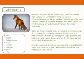 Vorschau - Text - Tiere im Winter - Wissenskartei - Seite 3