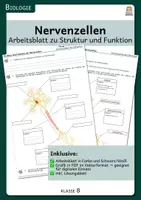 Vorschau - Arbeitsblätter - Struktur und Funktion von Nervenzellen - Arbeitsblatt inkl. Lösungen - Deckblatt