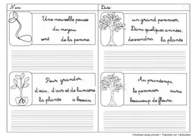 Aperçu - Feuilles d'exercices - Phrases secouées: Pomme - Page 3
