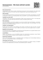 Vorschau - Arbeitsblätter - Genexpression - Wie Gene aktiviert werden (Informationstext und Übungen) - Deckblatt