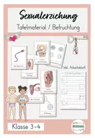 Vorschau - Stundenentwürfe - Tafelmaterial Sexualerziehung Befruchtungen Eizelle (inkl. Arbeitsblatt) - Deckblatt
