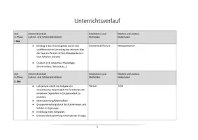 Vorschau - Arbeitsblätter - Unsere Haut - das größte Sinnesorgan - Seite 1