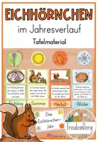 Vorschau - Präsentationen/Tafelbilder - Tafelmaterial: Eichhörnchen im Jahresverlauf (Eichhörnchen-Jahr) - Deckblatt