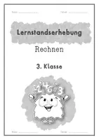 Vorschau - Arbeitsblätter - Materialpaket Lernstandserhebungen/Wiederholungshefte DE, RE & FR (2./3.Klasse) - Seite 3