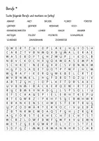 Vorschau - Spiele - Suchsel Berufe (einfach und schwierig) - Deckblatt