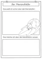 Vorschau - Unterrichtsreihen - Unterrichtsreihe Marienkäfer - Arbeitsblätter, Bastelanleitungen, Vorwissen & Texte - Seite 1