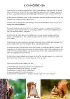 Vorschau - Arbeitsblätter - Eichhörnchen Sachtext mit 5 Fragen - Deckblatt