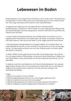 Vorschau - Arbeitsblätter - Bodenlebewesen: Infotext mit 5 Fragen - Deckblatt