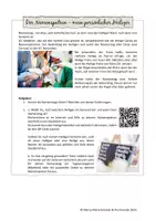 Vorschau - Arbeitsblätter - Der Namenspatron - mein persönlicher Heiliger - Seite 1