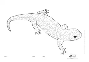 Vorschau - Mal- und Bastelvorlagen - Ausmalbild SALAMANDER !! 3 versch. Versionen ! Mandala *BE* - Seite 3