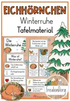 Vorschau - Präsentationen/Tafelbilder - Tafelmaterial: Eichhörnchen im Winter (Winterruhe) - Deckblatt