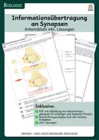 Vorschau - Arbeitsblätter - Informationsübertragung an Synapsen - Arbeitsblatt inkl. Lösungen - Deckblatt