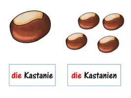 Vorschau - Fördermaterial/Inklusion - DaZ Einführung_Herbst - Seite 3