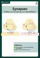 Vorschau - selbst erstellte Cliparts/Grafiken - Synapsen - Grafiken zur Erstellung von Arbeitsblättern - Deckblatt