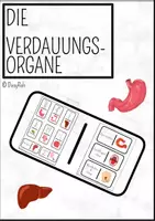 Vorschau - Spiele - Materialpaket: Kettenreaktionsspiele Geschlechts- & Verdauungsorgane - Deckblatt