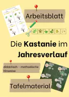 Vorschau - Arbeitsblätter - Laubbaum im Jahresverlauf - Kastanie - Deckblatt