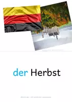 Vorschau - Bildkarten - Herbst - DaZ - Bildkarten zur Sprachförderung - Bild-Wortkarten für die Wortschatzarbeit - Seite 2
