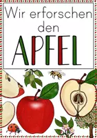 Vorschau - Stundenentwürfe - Forscherheft/ Arbeitsblätter Der Apfel - Seite 2