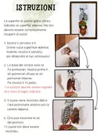 anteprima - Flashcard - Organi Istruzioni per la lavorazione XXL Modello apribile - Disposizione degli organi nel corpo - Pagina 1