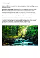Vorschau - Arbeitsblätter - Wasserkraft Arbeitsblatt - Seite 3