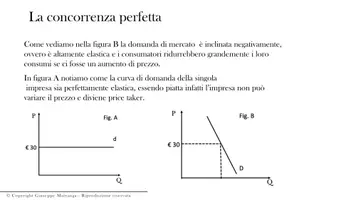 anteprima - Presentazioni / Lavagne - Corso di Micreconomia: modulo 5. La concorrenza perfetta - Pagina 3