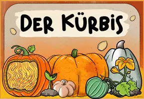 Vorschau - Poster - Themenplakat: Der Kürbis - Seite 3