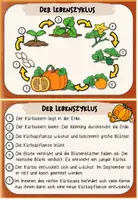 Vorschau - Bildkarten - Minikartei: Der Kürbis (Klasse 2) - Seite 3