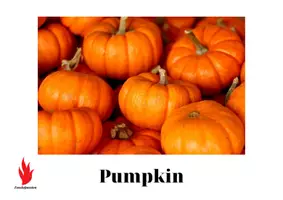 Προεπισκόπηση - Φύλλα εργασίας - HALLOWEEN E-PACK FOR ALL LEVELS |E-PACK ΑΠΟΚΡΙΏΝ ΓΙΑ ΌΛΑ ΤΑ ΕΠΊΠΕΔΑ - Σελίδα 1