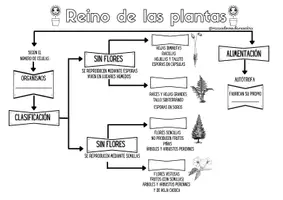 Vista previa - Unidades / Secuencias / Situaciones de Aprendizaje - Esquemas de los reinos de seres vivos - página 3