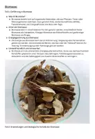 Vorschau - Arbeitsblätter - Biomasse als erneuerbare Energie + Aufgaben zum Text - Deckblatt