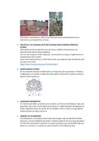 Vista previa - Para docentes: organización, planificación y formación - SITUACIÓN DE APRENDIZAJE "Otoño" - Español - página 3