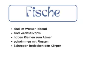 Vorschau - Poster - Tierklassen_Merkblätter (2) - Seite 1