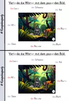 Vorschau - Arbeitsblätter - Wörter lesen und schreiben: Dschungel lese und schreiben (Miniheft / Kartei) DaZ + DaF - Seite 2