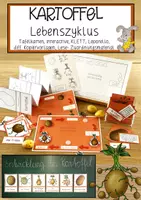 Vorschau - Anderer Materialtyp - Entwicklung der Kartoffelpflanze - Deckblatt