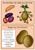 Vorschau - Anderer Materialtyp - Informationskartei Kartoffel und KV - Seite 1