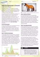 Vorschau - Arbeitsblätter - Lotka-Volterra-Regeln / Ökologie & Naturschutz - AB & Lösungen - Seite 1
