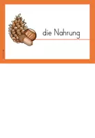 Vorschau - Arbeitsblätter - Nahrung des Eichhörnchens - Differenzierte Arbeitsblätter - Seite 3