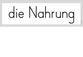 Vorschau - Präsentationen/Tafelbilder - Tafelmaterial: Nahrung des Eichhörnchens - Seite 3