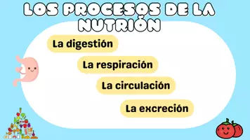 Vista previa - Tarjetas / Manipulativos - LA NUTRICIÓN - página 3