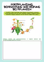 Vorschau - Arbeitsblätter - Fortpflanzung, Befruchtung und Reifung bei Pflanzen - Seite 2