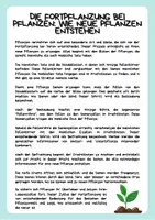 Vorschau - Arbeitsblätter - Fortpflanzung, Befruchtung und Reifung bei Pflanzen - Seite 3