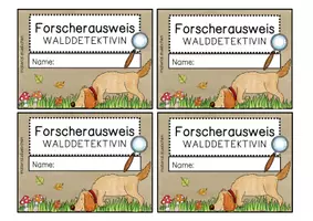 Vorschau - Spiele - Materialpaket - Ausflugsziel Wald - Seite 3