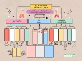 Vista previa - Hojas de trabajo - Esquema sobre aparato respiratorio - página 1