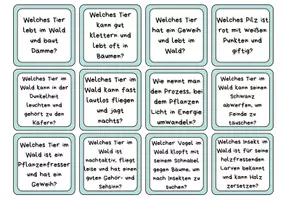Vorschau - Arbeitsblätter - Der Waldmeister - Brettspiel - Biologie - Seite 3